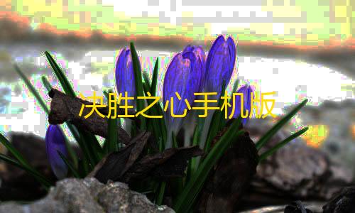 小蓝鲨辅助器4.0暗区突围决胜之心手机版